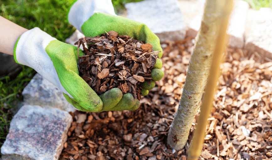 Mulch Installation